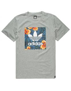 adidas Originals Men’s Tops Skateboarding Graphic Tee, Black Heather/Sweetleaf, X-Large