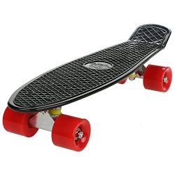 Kaluo 22 Inch Cruiser Skateboard 4 wheel Mini Complete Deck Fish Board with Bendable Deck and Sm ...